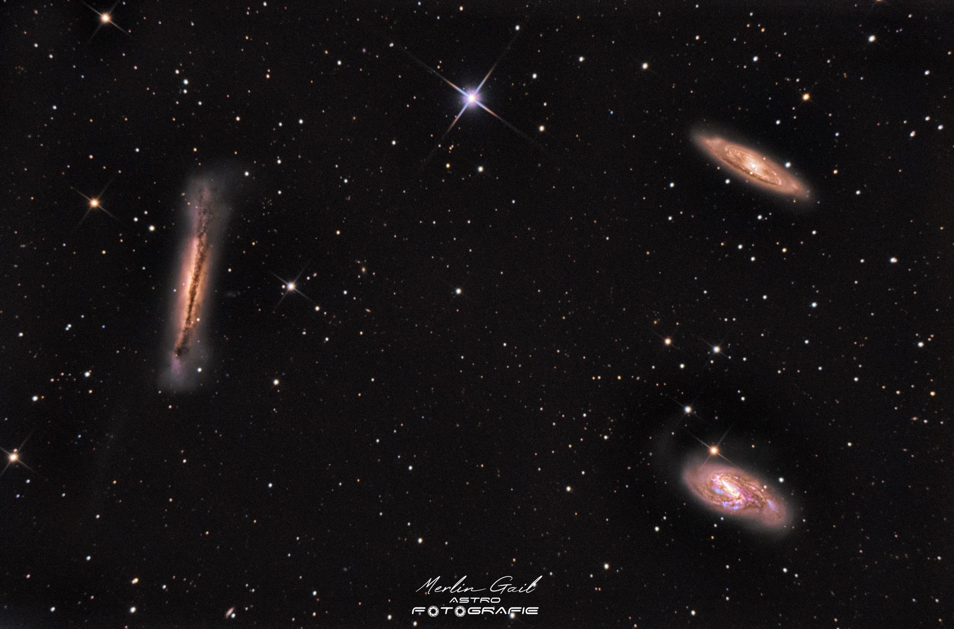Leo-Triplett (M 65 · M 66 · NGC 3628) — Astrofoto aufgenommen im Allgäu von Merlin Gail